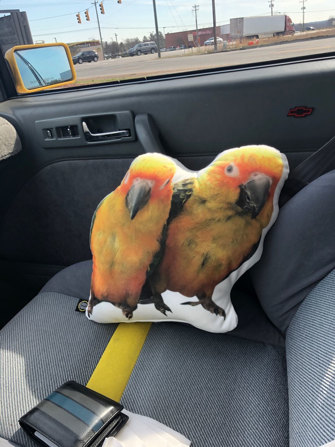 Customer photo review of Individuelles Vogelkissen