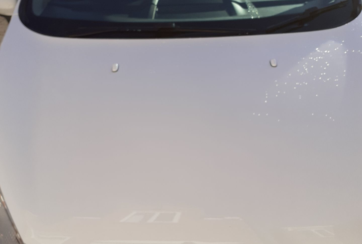 Customer photo review of Ford 'Mist' Washer Jets (Non-Heated)