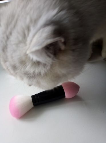 Customer photo review of 2 in 1 Brush Sponge