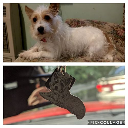 Customer photo review of Silvercut™ Keychain