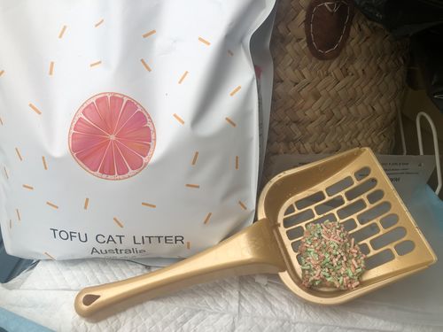 Customer photo review of Michu Tofu Natural Clumping Cat Litter 2.5kg/6L