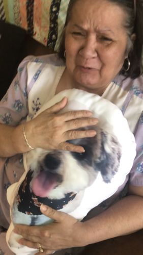 Customer photo review of Create A Custom Object Pillow