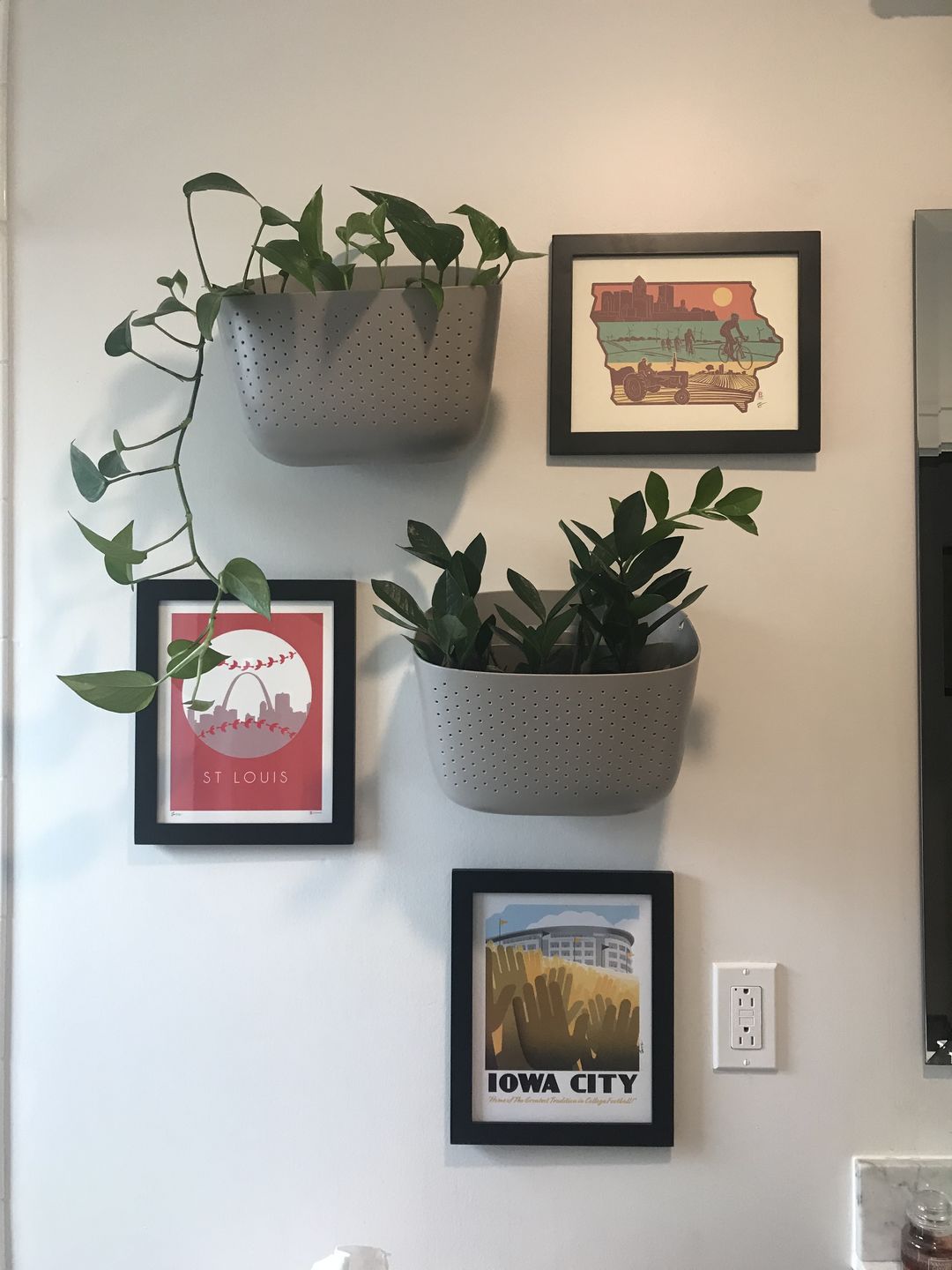 Customer photo review of Wally Eco Stone Wall Planter