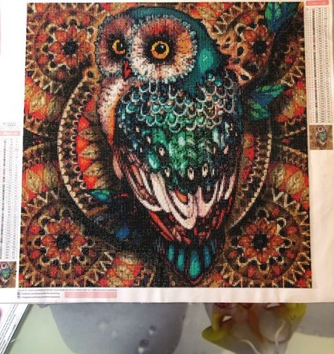 Customer photo review of Diamond Painting - Eule