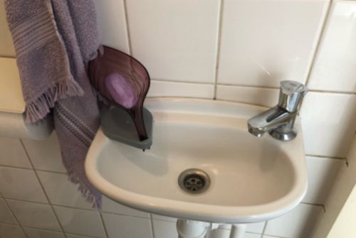 Customer photo review of Leafology™ Decorative Drainage Soap Holder