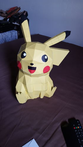 Customer photo review of Pikachu