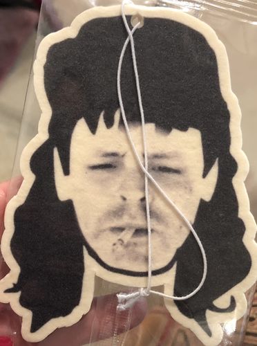 Customer photo review of Custom Shape Air Freshener