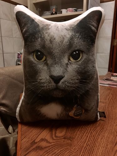 Customer photo review of Custom Cat Pillow