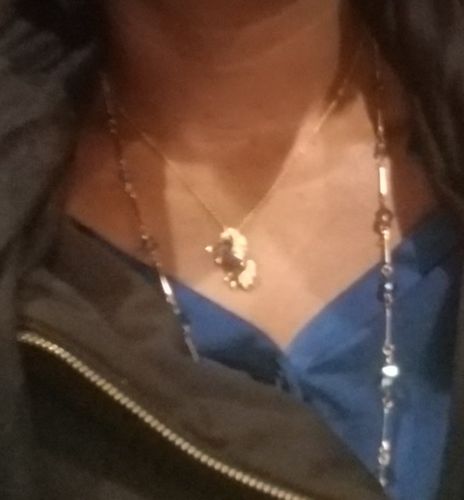 Customer photo review of Black Unicorn Necklace