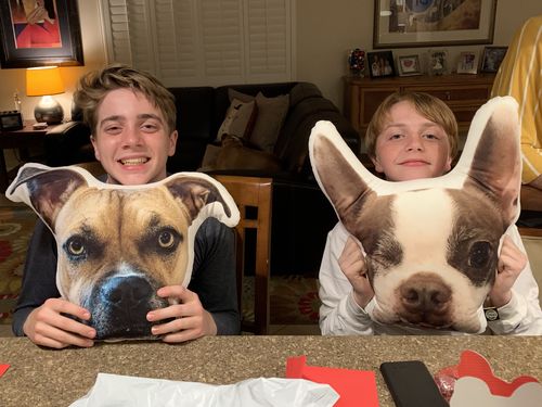 Customer photo review of Custom Dog Pillow