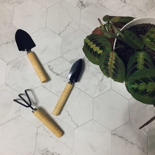 Customer photo review of Gardening Tool Mini Shovel Rake Spade 3Pcs Set Wooden Handle Metal Head