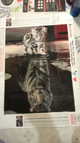 Customer photo review of Diamond Painting - Kleiner Tiger