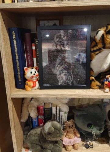 Customer photo review of Diamond Painting - Kleiner Tiger