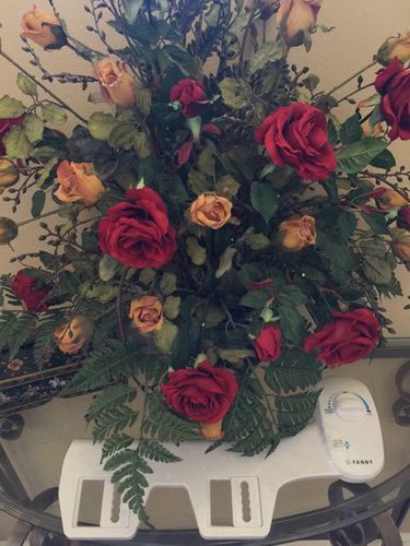 Customer photo review of Fanny Classic Bidet