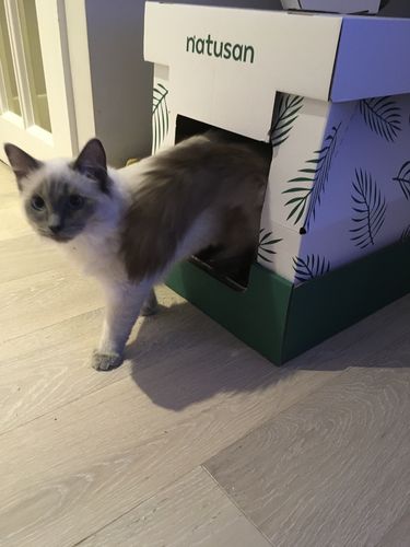 Customer photo review of Collect & Compost Service with Kit