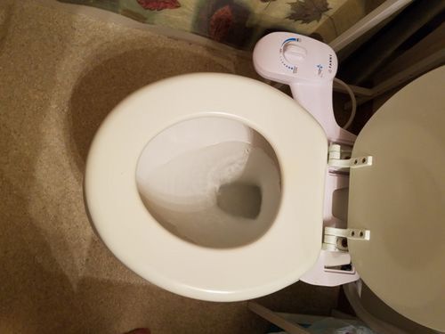 Customer photo review of Fanny Classic Bidet