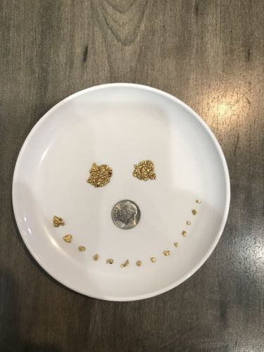 Customer photo review of 10 Lb. NUGGET RESERVE ELITE™ Gold Paydirt Unsearched