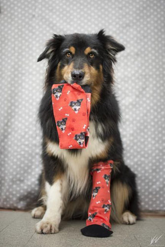 Customer photo review of Chaussettes Personnalisées Animal