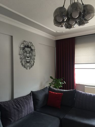 Customer photo review of Lion Head