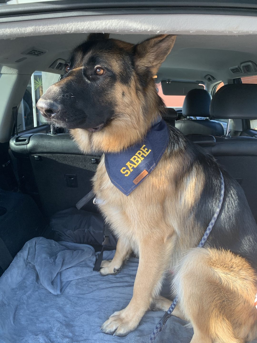 Customer photo review of Custom Text Denim Dog Bandana
