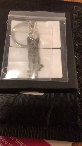 Customer photo review of Silvercut™ Keychain