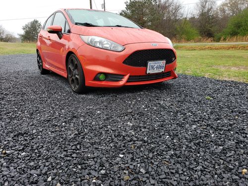 Customer photo review of Fiesta ST180 Fog Light Armour
