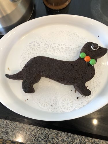 Dachshund Cake Pan Silicone Mold For Jello Ice Sculpture Dachshund Cake Pan Silicone Mold For
