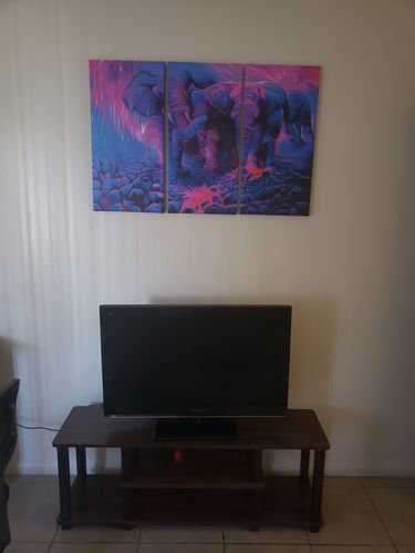 Customer photo review of Exodus Canvas Set