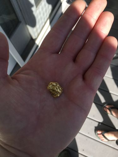 Customer photo review of '$2K NUGGET RUSH' Gold Paydirt - *1 in 50 Bags Contains a Nugget Valued $2,000* - Jackpot Paydirt