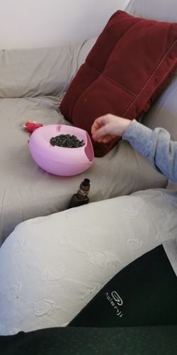 Customer photo review of Creative Plastic Double Layer Snack Storage Lazy Fruit Plate Bowl