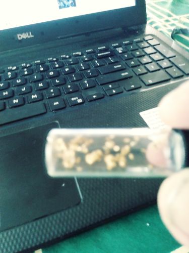Customer photo review of *New* MAMMOTH 'TROY OUNCE NUGGET HUNT' Gold Paydirt - Gold Paydirt Concentrate