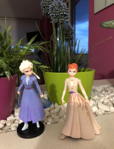 Customer photo review of Frozen Poppenset