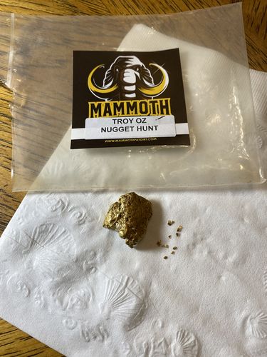 Customer photo review of *New* MAMMOTH 'TROY OUNCE NUGGET HUNT' Gold Paydirt - Gold Paydirt Concentrate