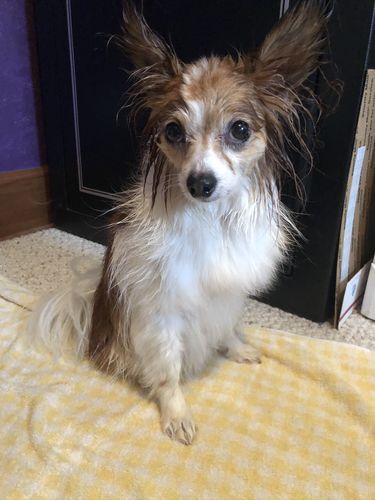 Customer photo review of Review