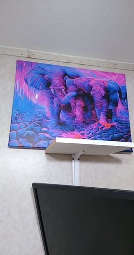 Customer photo review of Exodus Canvas Set