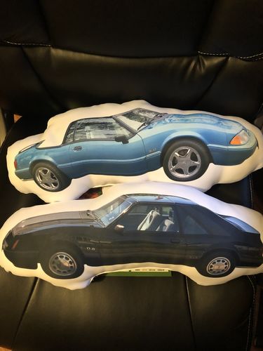 Customer photo review of Create A Custom Car Pillow