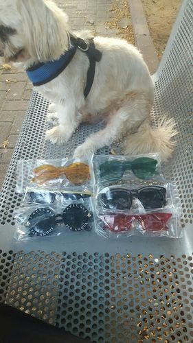 Customer photo review of Swindle Sunglasses