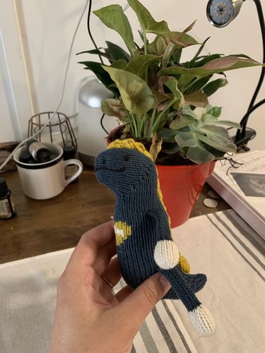 Customer photo review of knit stroller toy | Maxwell