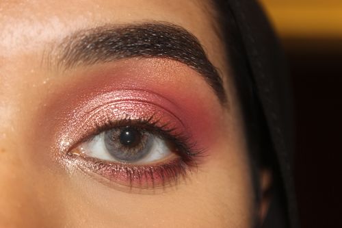 Ttdeye Reviews