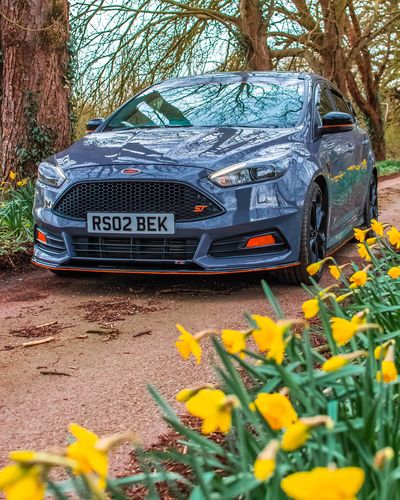 Customer photo review of Focus ST MK3.5 Fog Light Armour