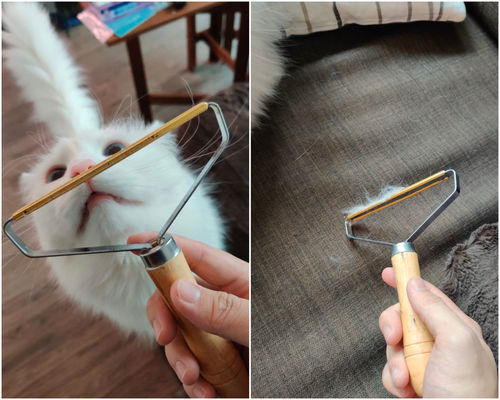 Customer photo review of 3-Pack Lint and Pet Hair Remover Brush