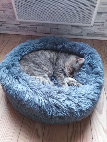 Customer photo review of Lit Apaisant Comfy® |  Pour Chien et Chat