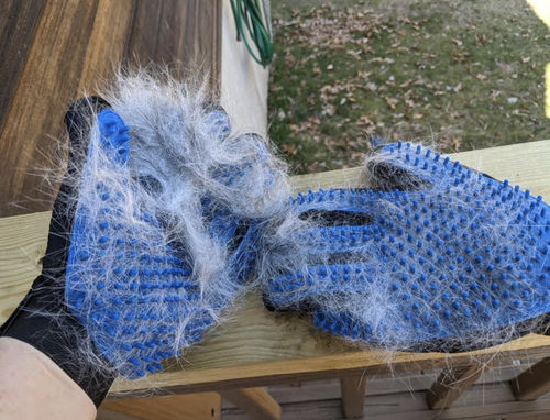 Customer photo review of Pet DeShedding Glove