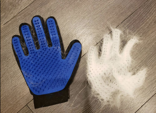 Customer photo review of 3-Pack of Pet DeShedding Gloves