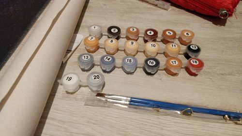 Customer photo review of Custom Paint by Number Kit