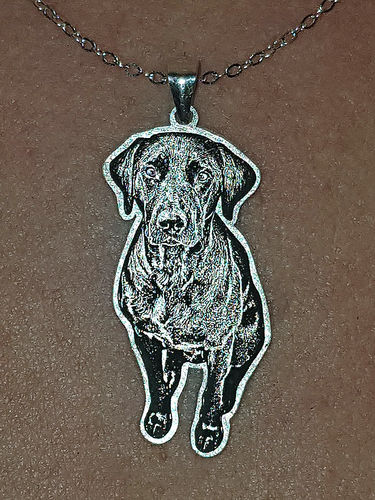 Customer photo review of Silvercut™ Necklace