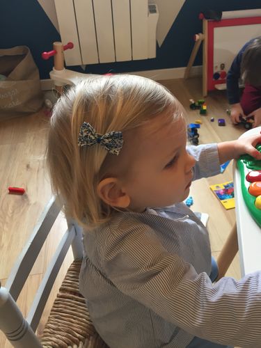 Customer photo review of Barrette Liberty Katie and Millie bleu