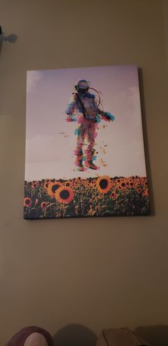 Customer photo review of The Plane Traveler Canvas Set