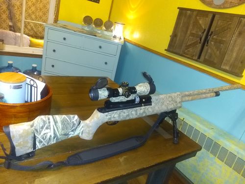 Customer photo review of Sniper VT 3-12x44 MFFP First Focal Plane (FFP) Scope with Red/Green Illuminated Reticle