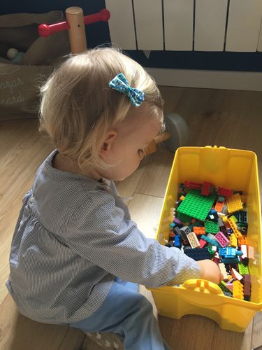 Customer photo review of Barrette Liberty "Blue cristal"